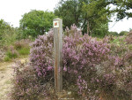 Sallandse Heuvelrug